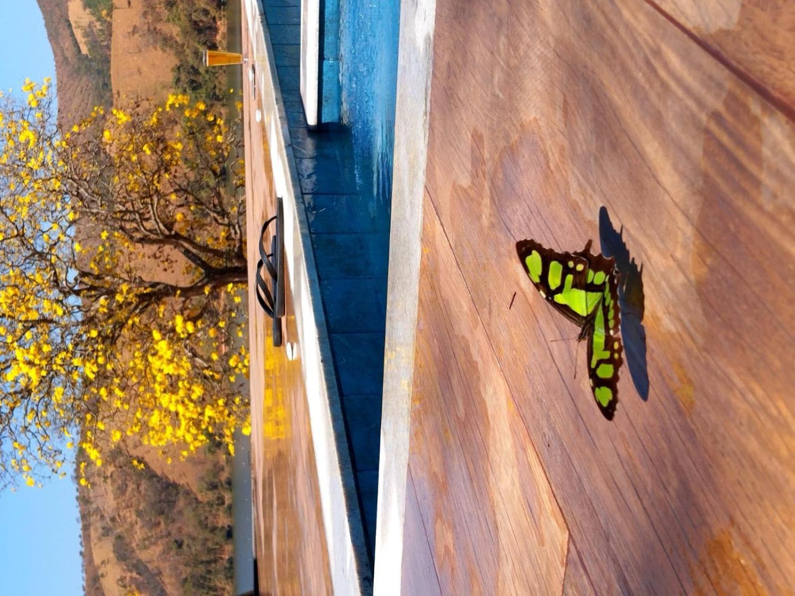 Chales Ipe Do Lago Capitólio Dış mekan fotoğraf